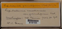 Image Associated With the Occurence